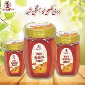 Big Bee Forest Honey -SaafiPK